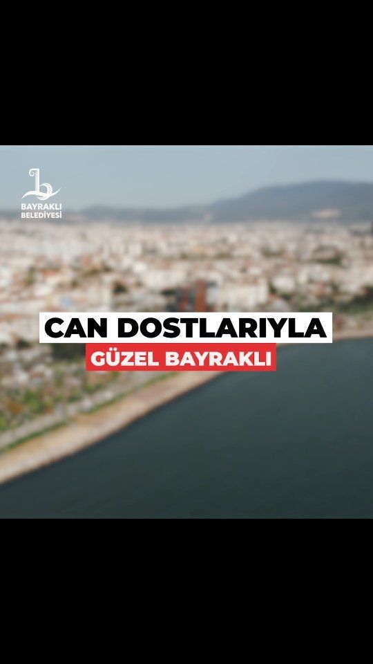 İzmir Bayraklı Belediyesi'nden Sokak Hayvanlarına Destek Kampanyası