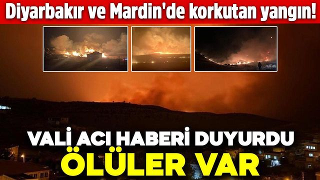 Çınar, Diyarbakır'da Kırsal Alanda Çıkan Yangında Çok Sayıda Can Kaybı