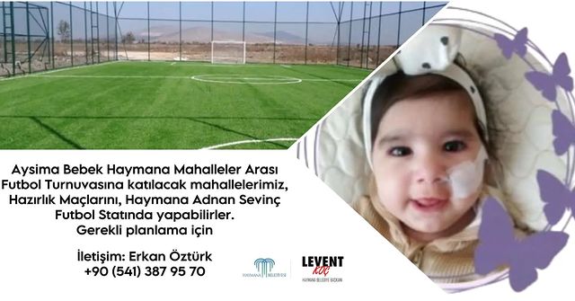 Haymana Mahalleler Arası Futbol Turnuvası Hazırlıkları Başladı