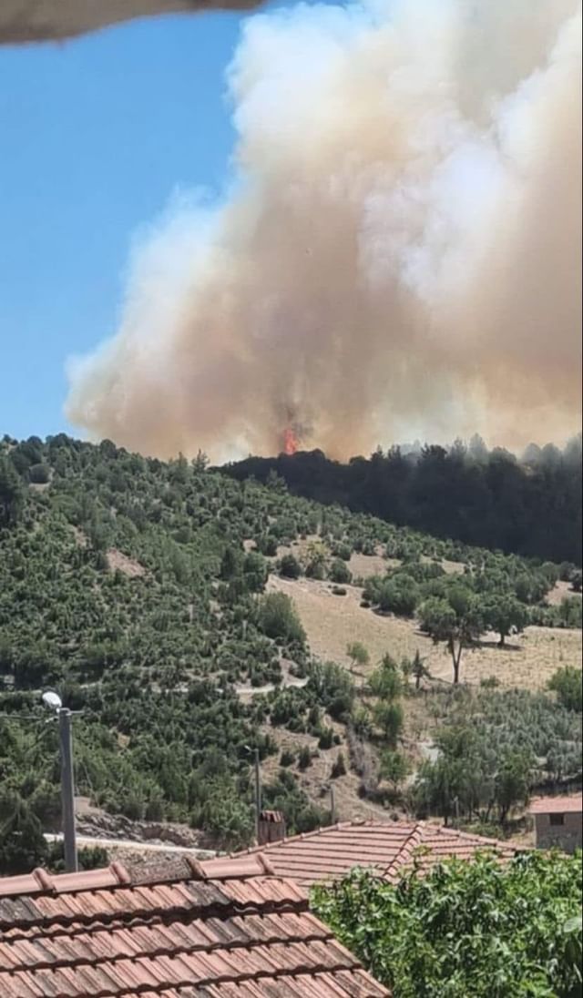 Büyükorhan'da Orman Yangını