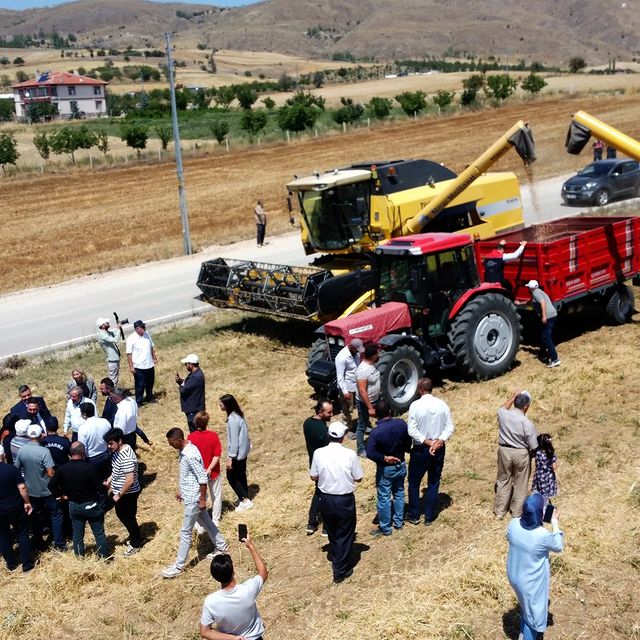 Haydar Mahallesi'nde Nohut Hasadı Programı