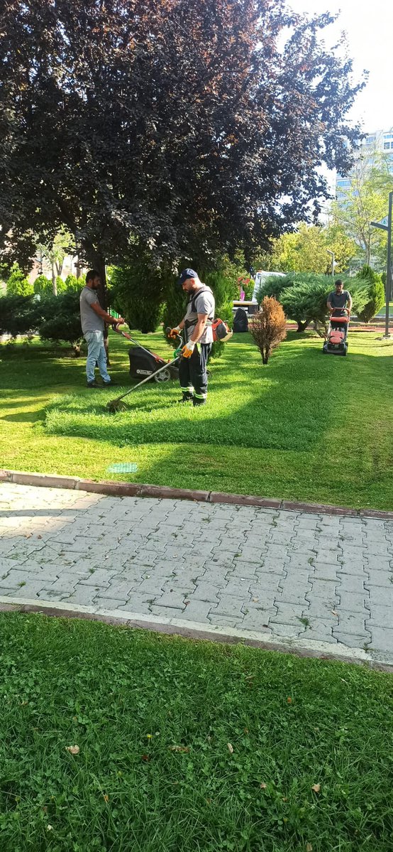 Pursaklar Belediyesi, Çimlerin Sağlıklı ve Canlı Kalması İçin Çim Biçme Çalışmaları Yürütüyor