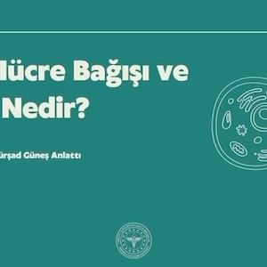 21 Eylül Dünya Kemik İliği Bağışçıları Günü'nde Kemik İliği Bağışının Önemi Vurgulandı