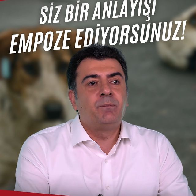 Hayvanları Koruma Yasası Eleştiriliyor