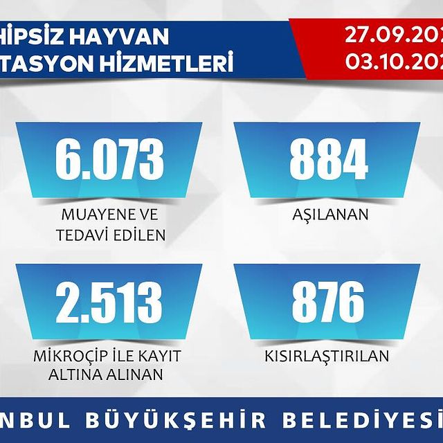 İstanbul Büyükşehir Belediyesi, Sahipsiz Hayvanlar İçin Rehabilitasyon Hizmetleri Sunuyor