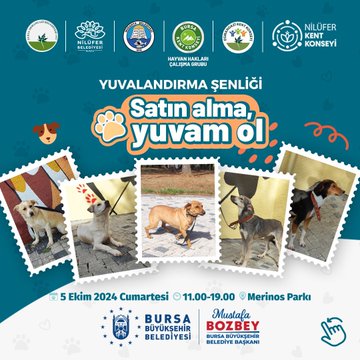 Sokak Hayvanlarına Sıcak Yuva Arayışı Başladı