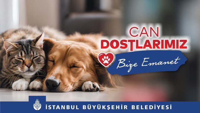 İstanbul Büyükşehir Belediyesi, Can Dostlarımızın Yanında