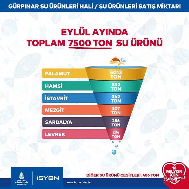 İstanbul Büyükşehir Belediyesi, Gürpınar Su Ürünleri Hal Kompleksi'nde 2024 Eylül ayında 7500 ton balık sattı