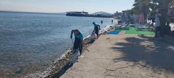 İstanbul Büyükşehir Belediyesi, Adalar'daki Kıyıları Temizliyor