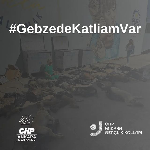 Cumhuriyet Halk Partisi Gebze'de Hayvan Katliamını Kınadı