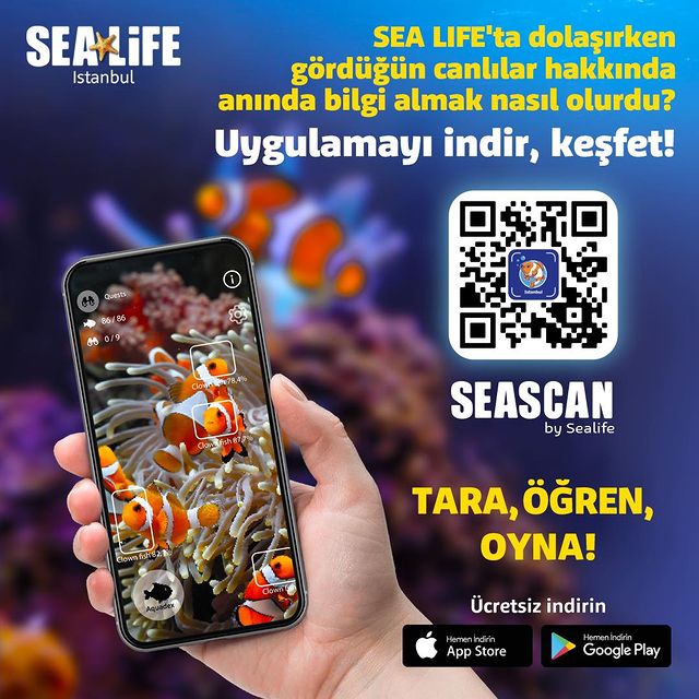 SEA LIFE Akvaryum Ziyaretçilere Deniz Canlıları Hakkında Bilgi Sunuyor