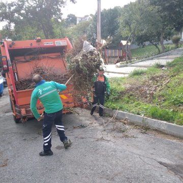 Yeşil Adalar’da Çevre Dostu Temizlik Çalışmaları Sürüyor