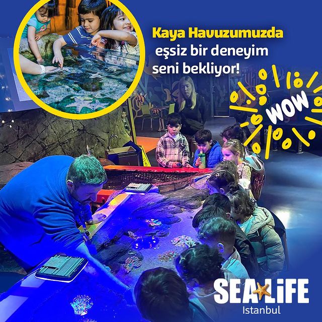 SEA LIFE İstanbul: İstanbul'un En Büyüleyici Deniz Yaşamı Merkezi