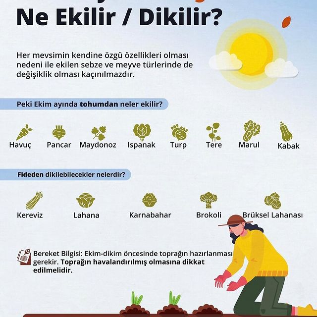 Ekim Ayı Tarımda Ne Zaman Neler Ekilir?