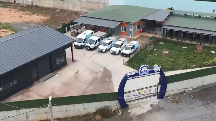 Gebze'deki Hayvan Ölümleri Soruşturmasında Otopsi Sonuçları Açıklandı