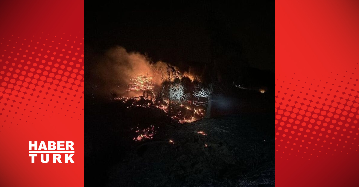 Hatay'da Orman Yangınında 5 Hektar Alan Zarar Gördü