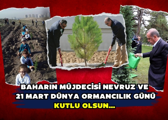 BAHARIN MÜJDECİSİ NEVRUZ VE  21 MART DÜNYA ORMANCILIK GÜNÜ KUTLU OLSUN…