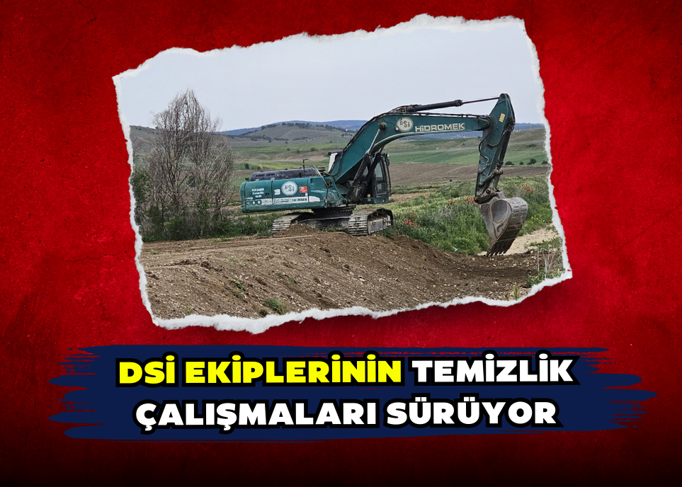 DSİ Ekiplerinin Temizlik Çalışmaları Sürüyor 