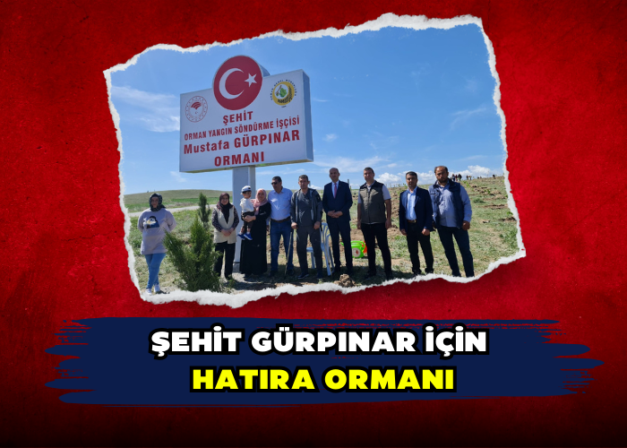 ŞEHİT GÜRPINAR İÇİN HATIRA ORMANI