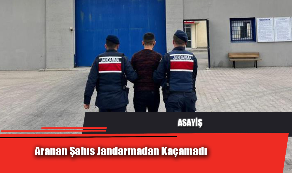 Aranan Şahıs Jandarmadan Kaçamadı