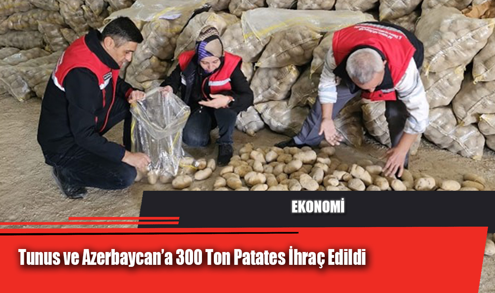 Tunus ve Azerbaycan’a 300 Ton Patates İhraç Edildi