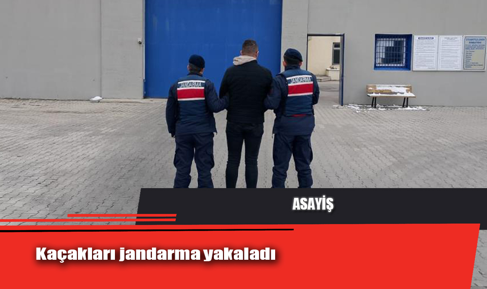 Kaçakları jandarma yakaladı