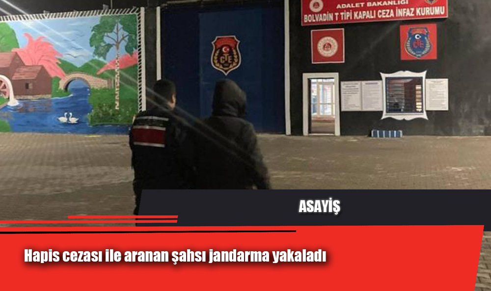 Hapis cezası ile aranan şahsı jandarma yakaladı